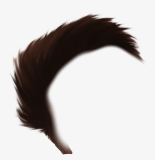 Hair Png - Close-up #10058159