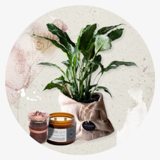 Easter - Aquarium #10060601