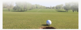 Golf Ball Club Transparent Sports Png Png Golf Ball - Grass #10061188 Golf Ball Club Transparent Sports Png Png Golf Ball - Grass #10061188