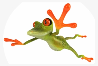 Back To Healing Family Trauma - Frog #10063645