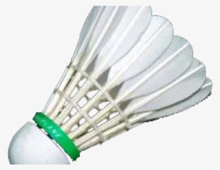 Badminton #10065060