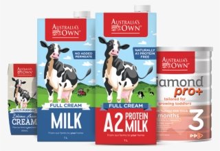 A2 Protein Dairy Milk > #10065223