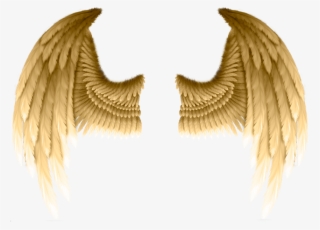 Gold Wings Png Transparent Gold Wings Png Image Free Download Pngkey