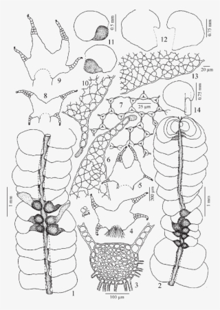 Commissions Open By Miiroku - Line Art #10066625