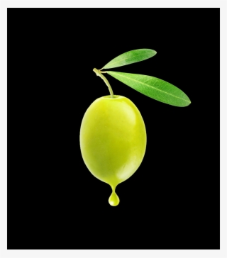 Seedless Fruit #10066628