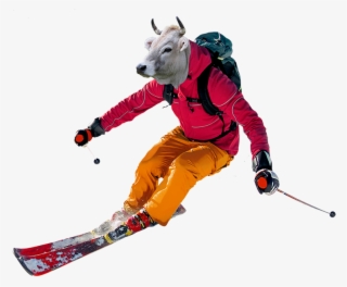 Don´t Want To Bring Your Skis No Worries We'll Take - Polscy Narciarze #10067206