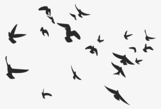 Pajaros Png Para Photoshop - Mountain Hiking Vector #10068598