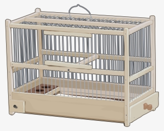 Jaula Pájaros - Cage #10068747