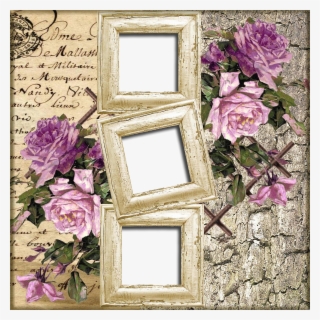 Nm Moldura 15 04 - Garden Roses #10069403