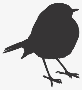 Bird Sparrow Silhouette Orange Png Image - Robin Bird Png #10071821 Bird Sparrow Silhouette Orange Png Image - Robin Bird Png #10071821