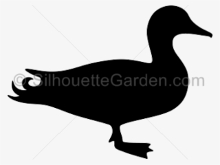 Wood Duck Clipart Silhouette Flying - Mallard Duck Silhouette Clip Art #10072041