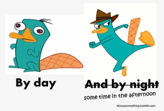 “ Follow For More Disney's Phineas And Ferb Agent P/ - Perry The Platypus Derp #10075363