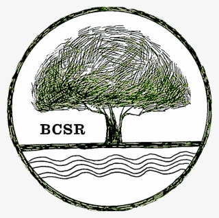 713 X 709 5 - Drawing #10076211