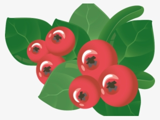 Berry Clipart Mango - Crown Of Thorns #10077491