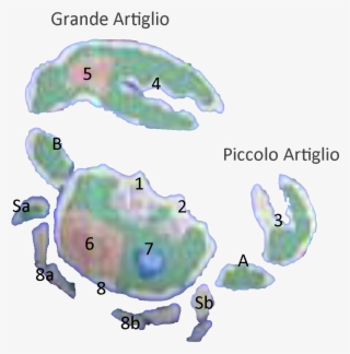 Here Is The Mapping Of Where The Main Levels Will Be - Green Sea Turtle #10079122