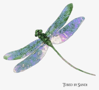 Portable Network Graphics #10079495