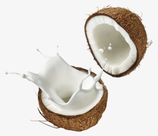 Coconut Png Background Image - Coconut Png #10080834