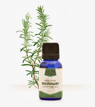 Rosemary Essential Oil Adalah #10080982