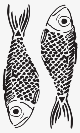 Sir Sardine - Pomacentridae #10081032