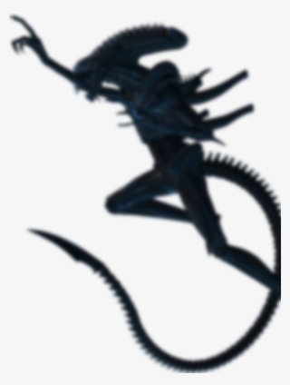 Illustration #10081242