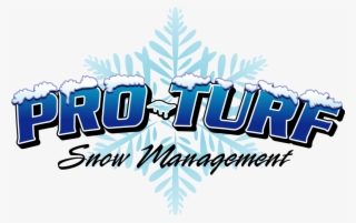 Logo- Snow - Graphic Design #10083978