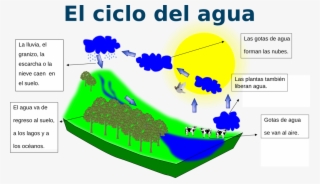 Cicloactividad - Eagle Eye #10084807