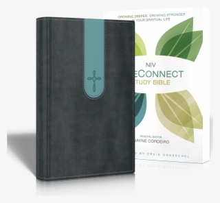 Niv Lifeconnect Bible #10086196