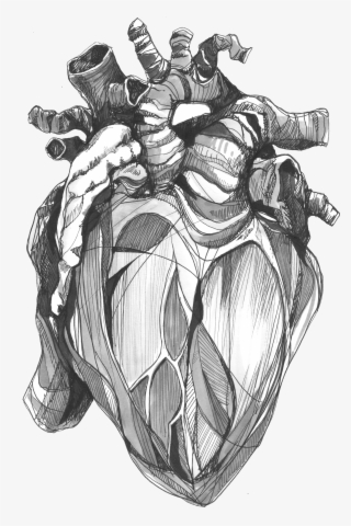 Cropped Bitmap In Hart Logo Transparent #10086903