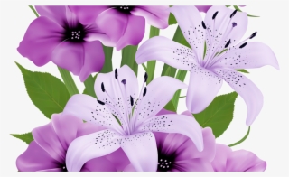 Flowers Hd Png Transparent Flowers Hd Png Image Free Download Pngkey