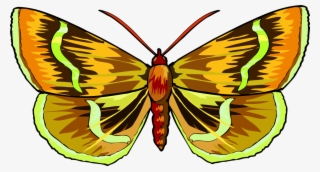 Monarch Butterfly Moth App Store Brush-footed Butterflies - Clip Art #10088911