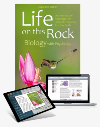 Picture - Online Advertising #10089262