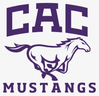 Central Arkansas Christian Schools #10090839