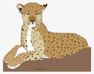 Big Cat Wsp6fj1 - Lion #10092292