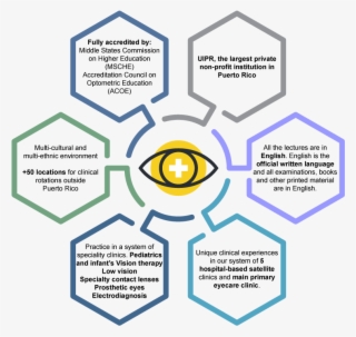 The School Of Optometry At Inter American University - Diagram #10092437