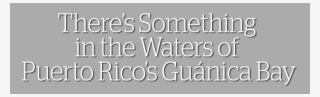 There's Something In The Waters Of Puerto Rico's Guanica - Attitude Sayings #10092489