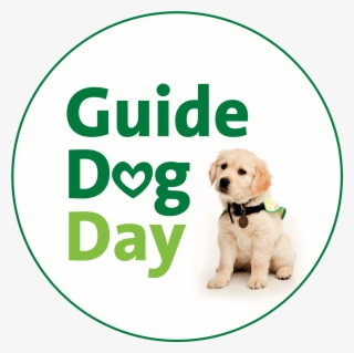 Share This Story - Guide Dog #10095447