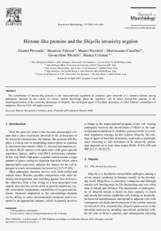 Histone-like Proteins And The Shigella Invasivity Regulon - Clandestine Press And The One From Exile #10095556