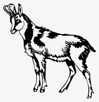 Download Goat Png Transparent Goat Png Image Free Download Pngkey