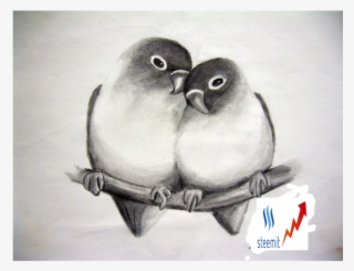 Beautiful Pencil Drawings Birds Png Beautiful Pencil - Sketches Of Love Birds #10098344