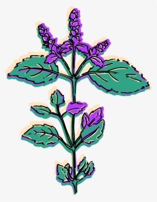 The Glories Of Tulasī Devī From The Śrī Nāradīya Purāṇa #10099803