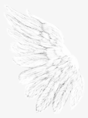 Scrap Around The Globe - Amy Winehouse Facebook Cover #1010114