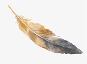 Animal Feather Transparent - Portable Network Graphics #1010175