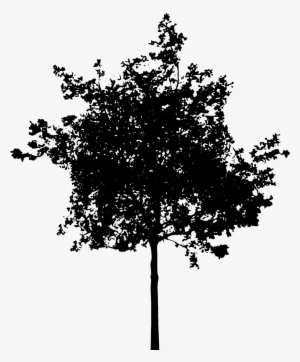 Trees Silhouette Png - Tree Silhouette Png Transparent #1010768 Trees Silhouette Png - Tree Silhouette Png Transparent #1010768