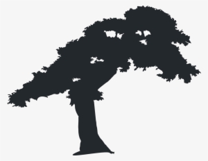 No Vector Graphics,free Pictures, - Graphics #1010977 No Vector Graphics,free Pictures, - Graphics #1010977