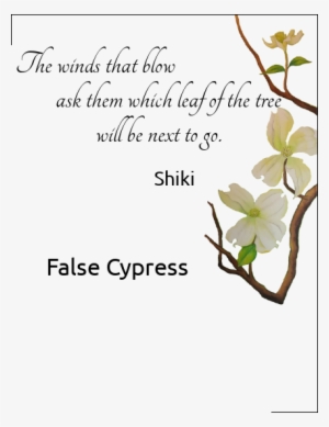 Soseki Haiku - Natsume Sōseki #1011502