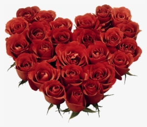 3 - Bp - Blogspot - Com/ Kq2qgkzkscq/upmfrved8 I/aaaaaaabham - Red Rose Image Download #1011669