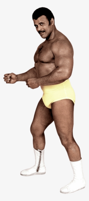 Rocky Johnson - Rocky Johnson Now #1011672