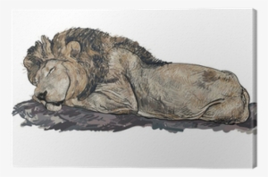 Lion Sleeping Illustration #1011688