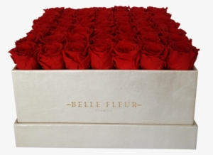 El Contexto Es Todo - Belle Fleur Ecuador #1011904