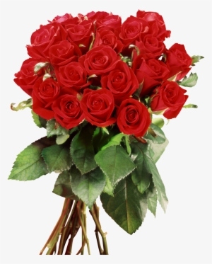 Descargar Imagenes De Flores Rojas - Frame Wedding #1012164